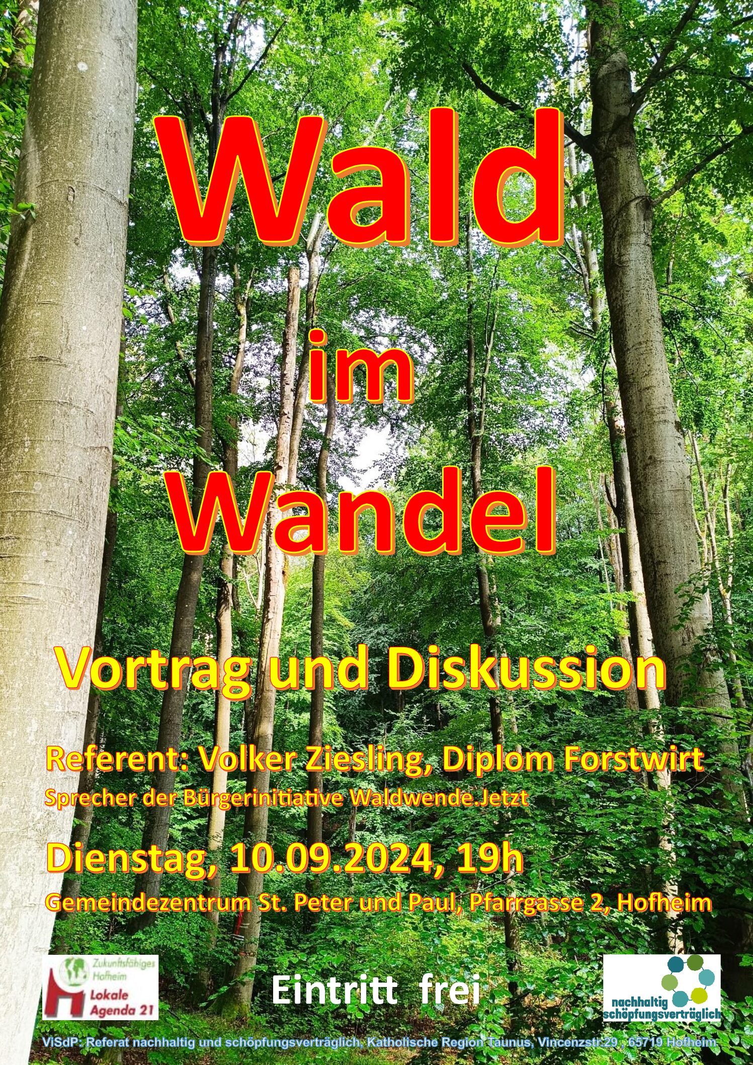 Wald im Wandel